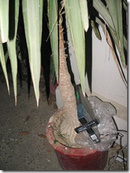 plantenna