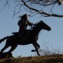 Mongol